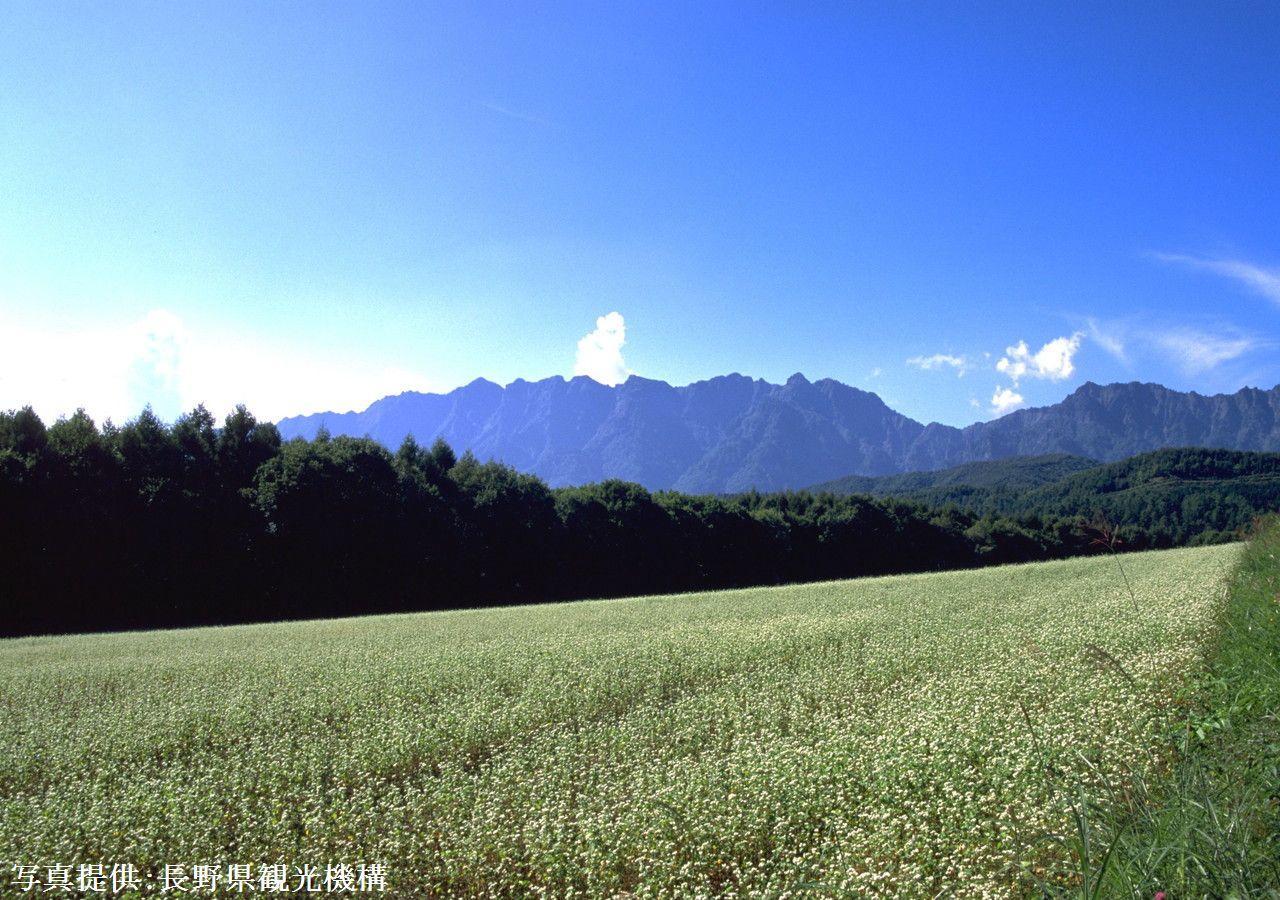 Shioriya Otel Nagano Dış mekan fotoğraf