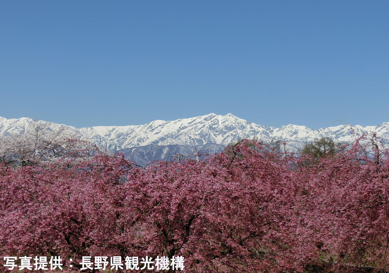 Shioriya Otel Nagano Dış mekan fotoğraf